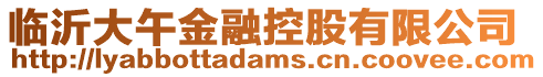 臨沂大午金融控股有限公司