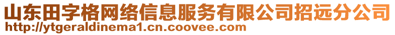 山東田字格網絡信息服務有限公司招遠分公司
