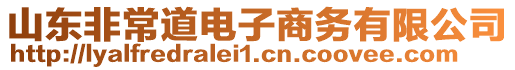 山東非常道電子商務(wù)有限公司