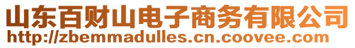 山東百財山電子商務有限公司