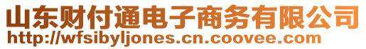 山東財付通電子商務(wù)有限公司