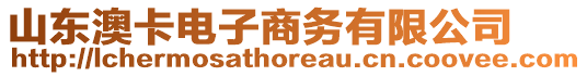 山东澳卡电子商务有限公司