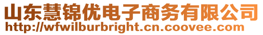 山東慧錦優電子商務有限公司