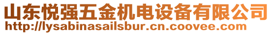 山東悅強(qiáng)五金機(jī)電設(shè)備有限公司