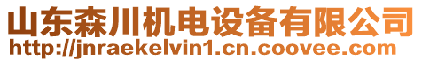 山東森川機電設(shè)備有限公司