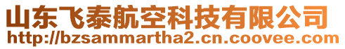 山東飛泰航空科技有限公司
