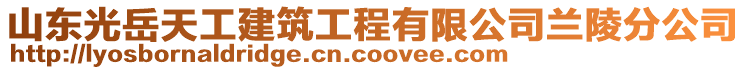 山東光岳天工建筑工程有限公司蘭陵分公司