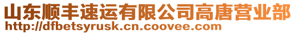 山東順豐速運(yùn)有限公司高唐營(yíng)業(yè)部