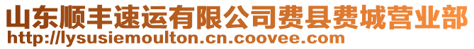 山東順豐速運有限公司費縣費城營業(yè)部