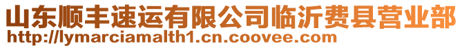 山東順豐速運(yùn)有限公司臨沂費(fèi)縣營(yíng)業(yè)部