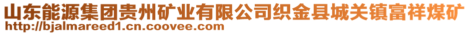 山東能源集團(tuán)貴州礦業(yè)有限公司織金縣城關(guān)鎮(zhèn)富祥煤礦