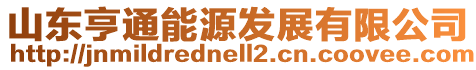 山東亨通能源發(fā)展有限公司