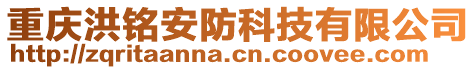 重慶洪銘安防科技有限公司