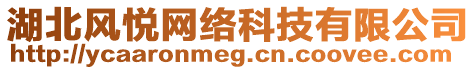 湖北風(fēng)悅網(wǎng)絡(luò)科技有限公司