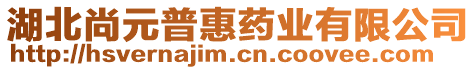 湖北尚元普惠藥業(yè)有限公司