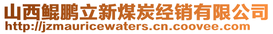 山西鯤鵬立新煤炭經(jīng)銷有限公司