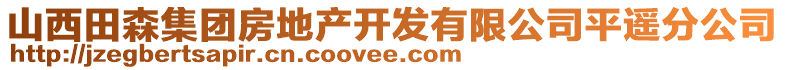 山西田森集團(tuán)房地產(chǎn)開發(fā)有限公司平遙分公司