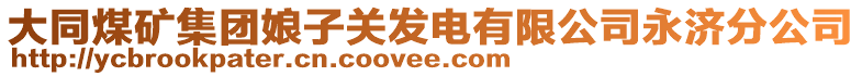 大同煤礦集團(tuán)娘子關(guān)發(fā)電有限公司永濟(jì)分公司