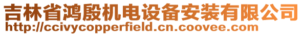 吉林省鴻殷機電設備安裝有限公司