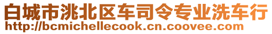 白城市洮北區(qū)車司令專業(yè)洗車行