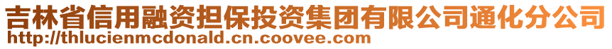 吉林省信用融資擔(dān)保投資集團(tuán)有限公司通化分公司