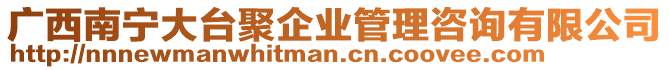 廣西南寧大臺(tái)聚企業(yè)管理咨詢有限公司