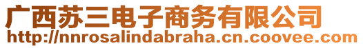 廣西蘇三電子商務(wù)有限公司