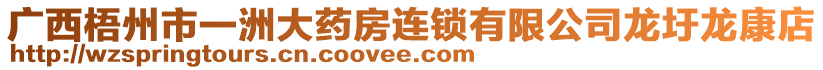 廣西梧州市一洲大藥房連鎖有限公司龍圩龍康店