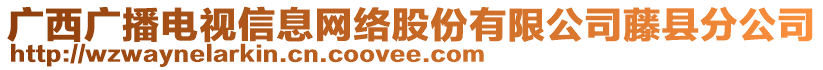 廣西廣播電視信息網(wǎng)絡(luò)股份有限公司藤縣分公司