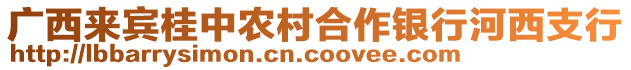 廣西來賓桂中農(nóng)村合作銀行河西支行