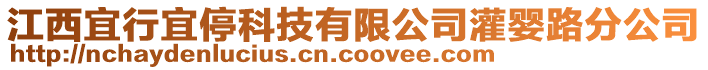 江西宜行宜停科技有限公司灌嬰路分公司