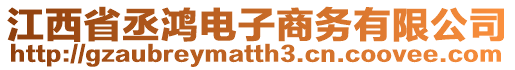 江西省丞鴻電子商務(wù)有限公司