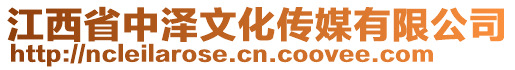 江西省中澤文化傳媒有限公司