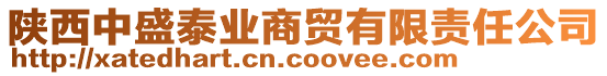 陜西中盛泰業(yè)商貿(mào)有限責(zé)任公司