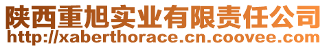 陜西重旭實(shí)業(yè)有限責(zé)任公司