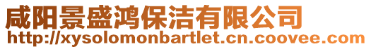 咸陽景盛鴻保潔有限公司