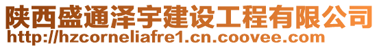 陜西盛通澤宇建設(shè)工程有限公司