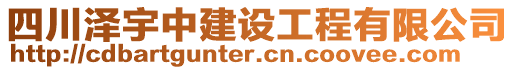 四川澤宇中建設(shè)工程有限公司