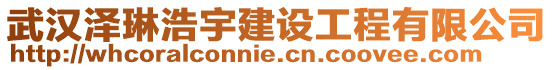 武漢澤琳浩宇建設(shè)工程有限公司