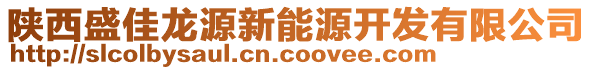 陜西盛佳龍源新能源開發(fā)有限公司