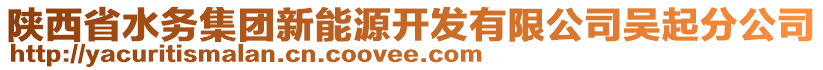 陜西省水務(wù)集團(tuán)新能源開發(fā)有限公司吳起分公司