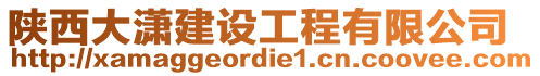 陜西大瀟建設工程有限公司