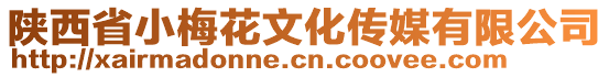 陜西省小梅花文化傳媒有限公司