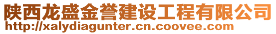 陜西龍盛金譽(yù)建設(shè)工程有限公司