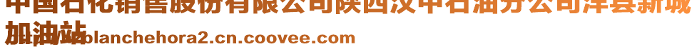 中國石化銷售股份有限公司陜西漢中石油分公司洋縣新城
加油站