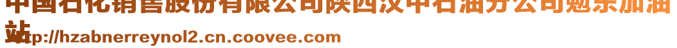 中國石化銷售股份有限公司陜西漢中石油分公司勉東加油
站