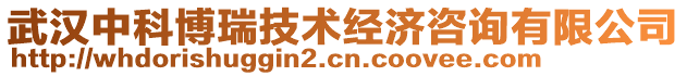 武漢中科博瑞技術(shù)經(jīng)濟咨詢有限公司