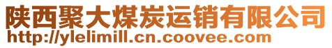 陜西聚大煤炭運(yùn)銷有限公司