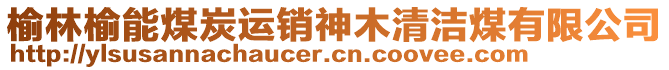 榆林榆能煤炭運銷神木清潔煤有限公司