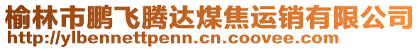 榆林市鵬飛騰達(dá)煤焦運(yùn)銷有限公司